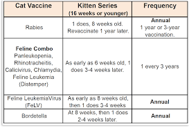 Vaccinations 101