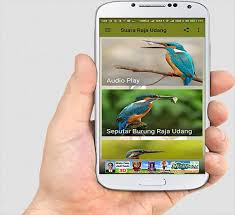 Suara mereka saat gacor pun juga cukup bagus burung raja udang atau tengkek udang atau cekakak sering di pelihara. Suara Raja Udang Master For Android Apk Download