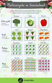 Pflanzt man im garten gezielt pflanzensorten an, die die bodenqualität verbessern, so nennt man dies gründüngen. Hochbeet Bepflanzen Fruchtfolge Nutzliche Tipps Plantura Hochbeet Pflanzen Hochbeet Bepflanzen Garten Anpflanzen