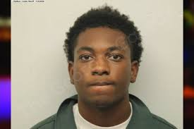 Jamarion Johnson: https://thegeorgiagazette.com/chatham/jamarion-johnson-2/