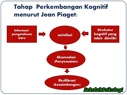 Piaget mengakui bahwa perubahan otak pada masa pubertas mungkin diperlukan untuk kemajuan kognitif pada usia remaja. Teori Perkembangan Kognitif Menurut Jean Piaget Sekolah Psikologi