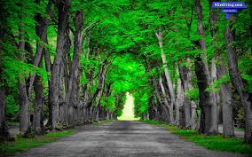 New 2018 Cb Backgrounds New Zip File Download Dslr Background Images Blur Photo Background Desktop Background Pictures
