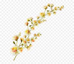 Plant Aesthetic Transparent Clipart Free Download Ya Yellow Flowers Aesthetic Png Free Transparent Png Images Pngaaa Com