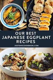 Perfectly grilled eggplant is ideal for summer cookouts and parties. Our Best Japanese Eggplant Recipes Just One Cookbook