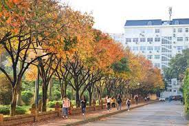 Trường có vai trò nòng cốt trong hệ thống các trường sư phạm đào tạo, bồi dưỡng giảng viên và cán bộ quản lí giáo dục, phát triển các chương trình đào tạo, biên soạn chương trình, giáo trình, sách giáo khoa. Review Ä'áº¡i Há»c SÆ° Pháº¡m Ha Ná»™i Hnue Cai Noi Ä'ao Táº¡o Nghá» Giao Cháº¥t LÆ°á»£ng Nháº¥t Miá»n Báº¯c Thituyensinh Ican Vn