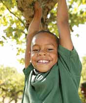 schubert research 14 5