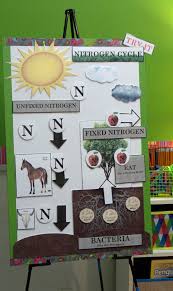 Active Anchor Chart Nitrogen Cycle Treetopsecret Education Nitrogen Cycle Science Anchor Charts Science Classroom Decorations