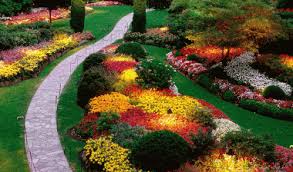 Official state flower of florida. Flower Bed Designs For Full Sun 28677 Flower Bed Designs Beautiful Gardens Beautiful Flowers Garden Butchart Gardens