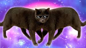 Let's face it, cats are the unofficial mascots of the internet. Dank Cat Memes Funny Cats 2 World Cat Comedy