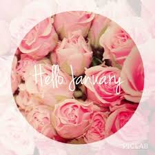 Hello January Quotes Cute Quote Pink Roses January Hello January January Quotes Flowers Pretty Flowers Beautiful Flowers