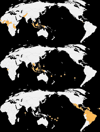 Why Scientists Are Worried About The Growing Epidemic And Its Effects On Pregnant Women And Advice On How To Avoid The Infec Info For Trip To Haiti Zika