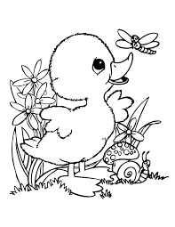 Our coloring page collection has been downloaded over 100k times in the past few years! Baby Duck Coloring Pages Coloring Home