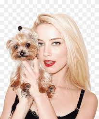After a series of small roles in film and television, heard had her first starring role in the she made her film debut in a minor role in the sports drama friday night lights (2004), followed by brief supporting roles in films. Amber Heard Friday Night Lights Actor Grapher Dog Breed Amber Heard Carnivoran Dog Like Mammal Fashion Png Pngwing