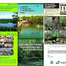 Maybe you would like to learn more about one of these? Pdf Proceedings Of The International Conference Meeting On Mangrove Ecology Functioning And Management Mmm3