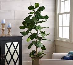 Soga 160cm fake green bird of paradise travelers palm artificial tree pot plant. 5 Faux Fiddle Leaf Tree In Starter Pot By Valerie Qvc Com