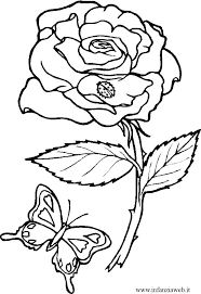 Disegni Da Colorare Categoria Fiori E Piante Immagine Rosa Con Rose