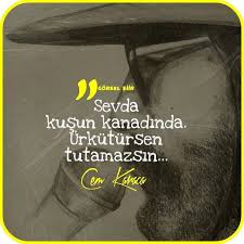 Sevda Kusun Kanadinda Urkutursen Tutamazsin Cem Karaca Sevda Ku Dance Quotes Poems Words