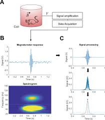 Beautiful brunette wife giving head. Fully Automated Head Twitch Detection System For The Study Of 5 Ht 2a Receptor Pharmacology In Vivo Scientific Reports