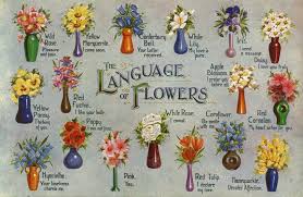 The meaning of the name ella is different in several languages, countries and cultures and has more than one possibly same or different meanings available. Flower Meanings Symbolism Of Flowers Herbs And More Plants The Old Farmer S Almanac
