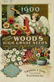 Descriptive Catalogue Wood S High Grade Seeds And Guide For The Farm Garden T W Wood Sons Free Download Borrow And Streaming Internet Archive Seed Illustration Vintage Seed Packets Seed Art