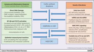 Pathophysiology of Colorectal Cancer