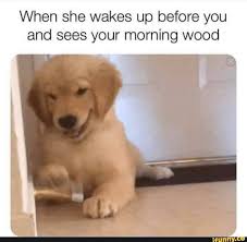 When She Wakes Up Before You And Sees Your Morning Wood Ifunny Morning Wood Funny Memes About Girls Funny Memes