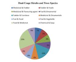 The Pie Chart Showing Percentages Of Single Usage Shrubs And