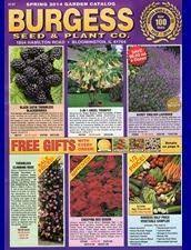 Burgess Seed Plant Catalog Sedum Plant Citrus Trees Plant Catalogs