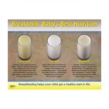 Breastmilk Babys Best Nutrition Chart