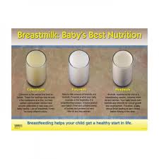 breastmilk babys best nutrition chart