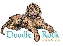 Snickersdoodles is featured as one of the best goldendoodle breeders in texas! Best Goldendoodle Rescues In Texas