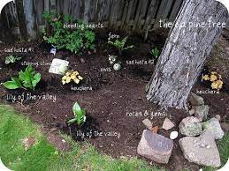 Plants For The Yard Landscaping Around Trees Shade Landscaping Landscaping With Rocks