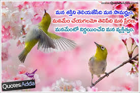 Quotes Adda Com Telugu Quotes Tamil Quotes Hindi Quotes English Telugu Best Quotes About Your Character Capa Melody Fair Bird Photography Animal Photo