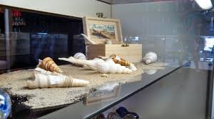 Beach Sand And Sea Shells Are Washing Up In Smoke Shops Everywhere Www Oceantokes Com Smoke Shops Beach Sand Up In Smoke