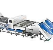 VSEE Intelligent AI Deep Leaning Date Sorting Machine