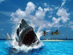 Check spelling or type a new query. Sharks Wallpaper Shark Shark Pictures Shark Images Animal Wallpaper