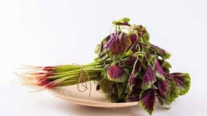Image result for 苋菜 in english