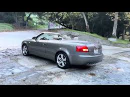 Image result for Alpaka Beige 2004 A4
