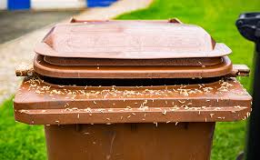 Or check out the larger outdoor garbage bins that are perfect for curbside pickup. How To Manage A Trash Can Maggot Infestation