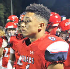 With heads held high, Cedars fall again