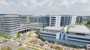 80% of singapore elderly at risk of malnutrition have low muscle mass, but nutrition intervention can improve physical function and health Changi General Hospital S Medical Centre Opens With New Model Of Patient Care Cna