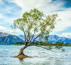 As eager british holidaymakers book trips to countries on the green list, a tricky new quiz has been new zealand. New Zealand Quizzes