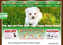 Puppies for sale, huskies, maltese, bulldog, yorkies, new jersey, puppies for sale in nj, puppy stores in nj. Kathy Bauck Pet Store Sales
