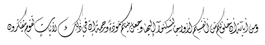 Read and learn surah rum 30:21 to get allah's blessings. Al Rum 30 21 Diwani Jpg