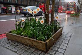 Urbanite S Guide To Guerrilla Gardening Urban Agriculturethis Wild Lifestyle