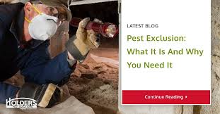 Pest exclusion is a process by which we exclude pests. What Is Pest Exclusion Holder S Pest Solutions
