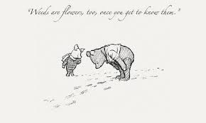 14 Beautiful Winnie The Pooh Quotes Wonder Quotes Winnie The Pooh Quotes Pooh Quotes