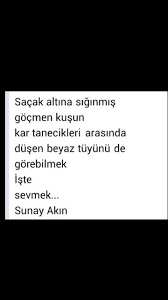 Sacak Altina Siginmis Gocmen Kusu Sunay Akin Gocmen Kuslar Kusu