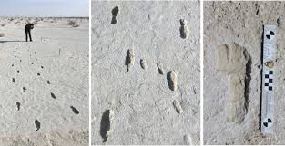 Fossil footprints are the oldest evidence of humans in the Americas |  Natural History Museum