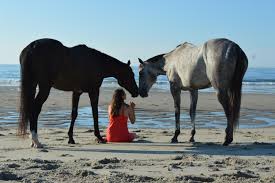 You must truly be trustworthy. Horsemanship With Lindsey Partridge Your Horse Can Like You But Not Trust You Horse Nation